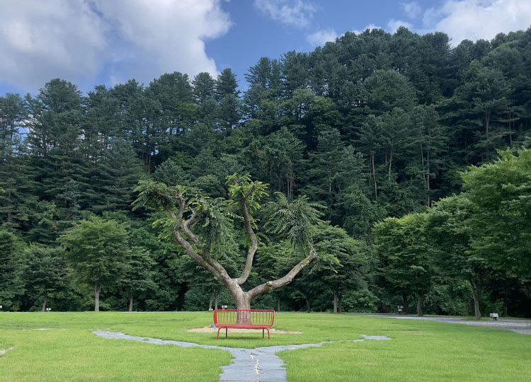 가평군 캠프올모 캠핑장 소개