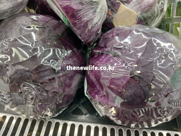 영양소 흡수율을 높이기 위해 신선하게 보관 중인 랩으로 포장된 적양배추