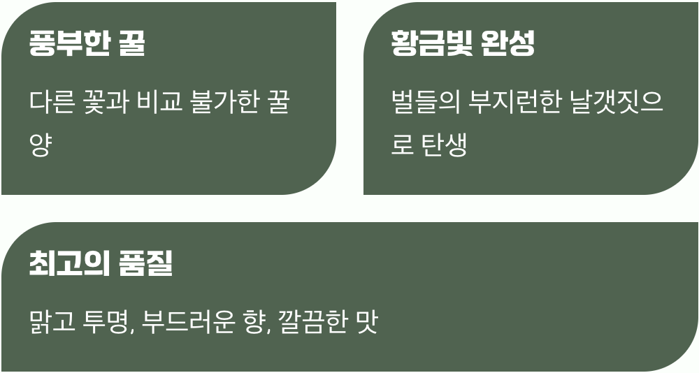 벌들을 위한 최고의 꿀 잔치