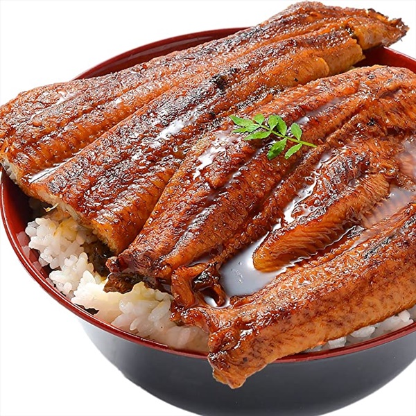 장어 효능
