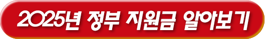 2025년 정부 지원금 총 정리 알아보기