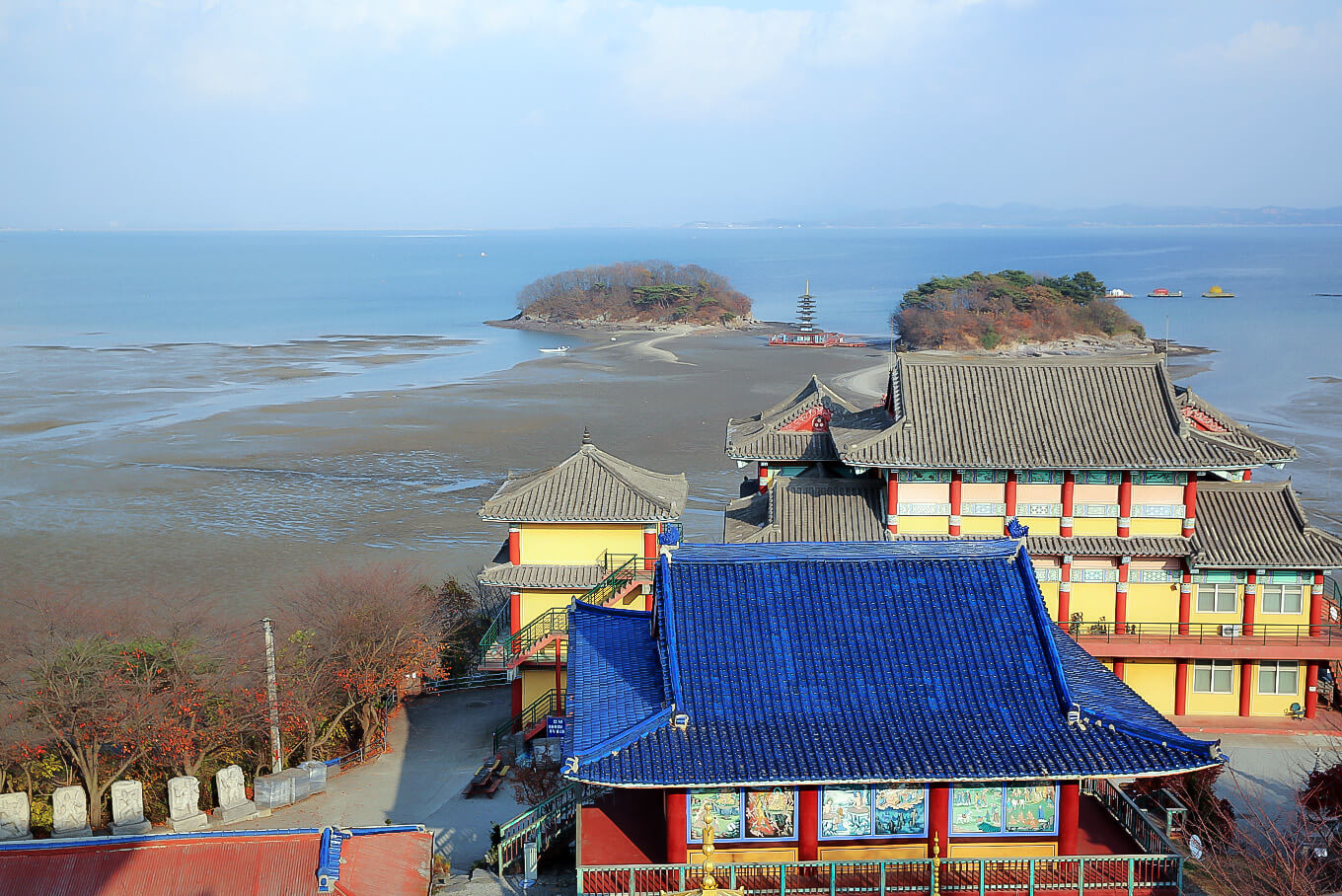 안면도수산시장 수산물 축제