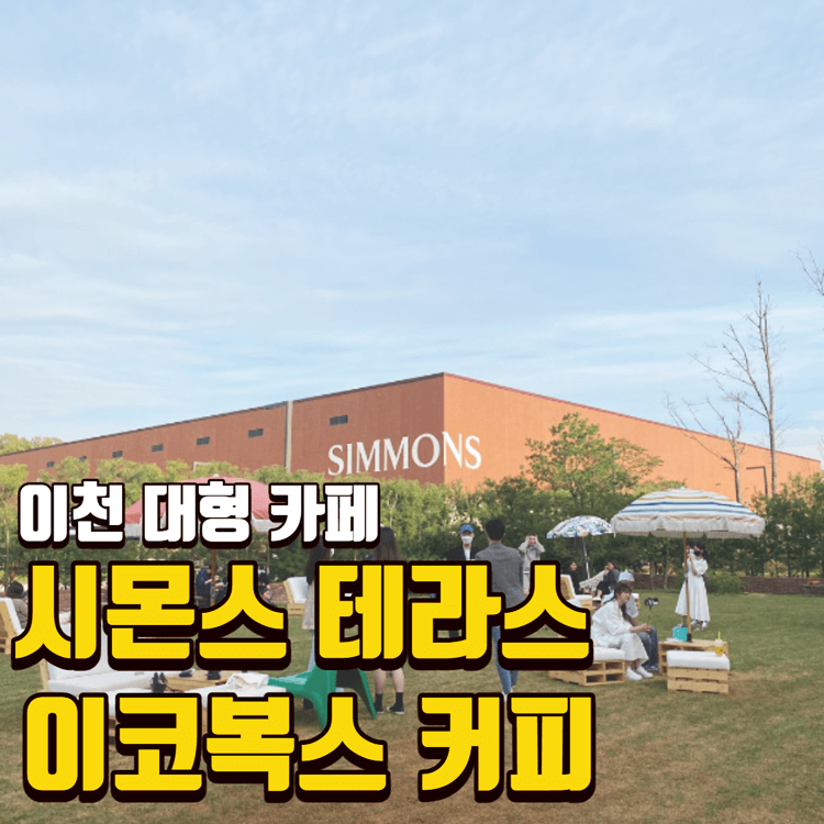 시몬스테라스-이코복스-썸네일