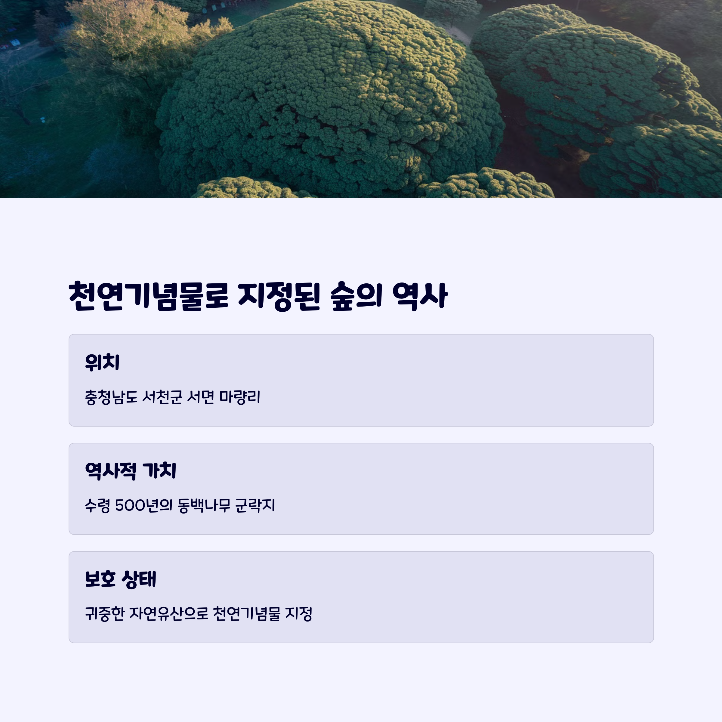 서천여행