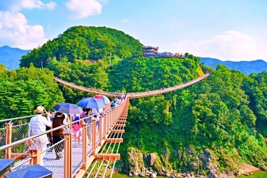 산에는-푸르른-나무들과-하늘에는-뭉게구름이-떠있는-맑은-가을날-Y자형-출렁다리를-관광객들이-양산을-쓰며-무리지어-건너는-장관을-이룬-모습