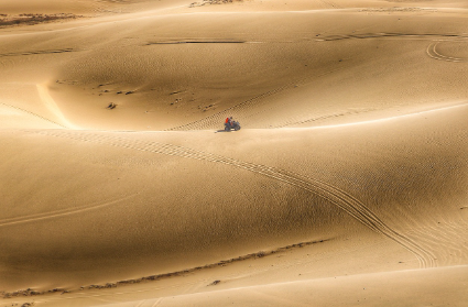 더 로드 (2009) – 허구가 생존을 만났을 때: 종말의 현실적 위험들