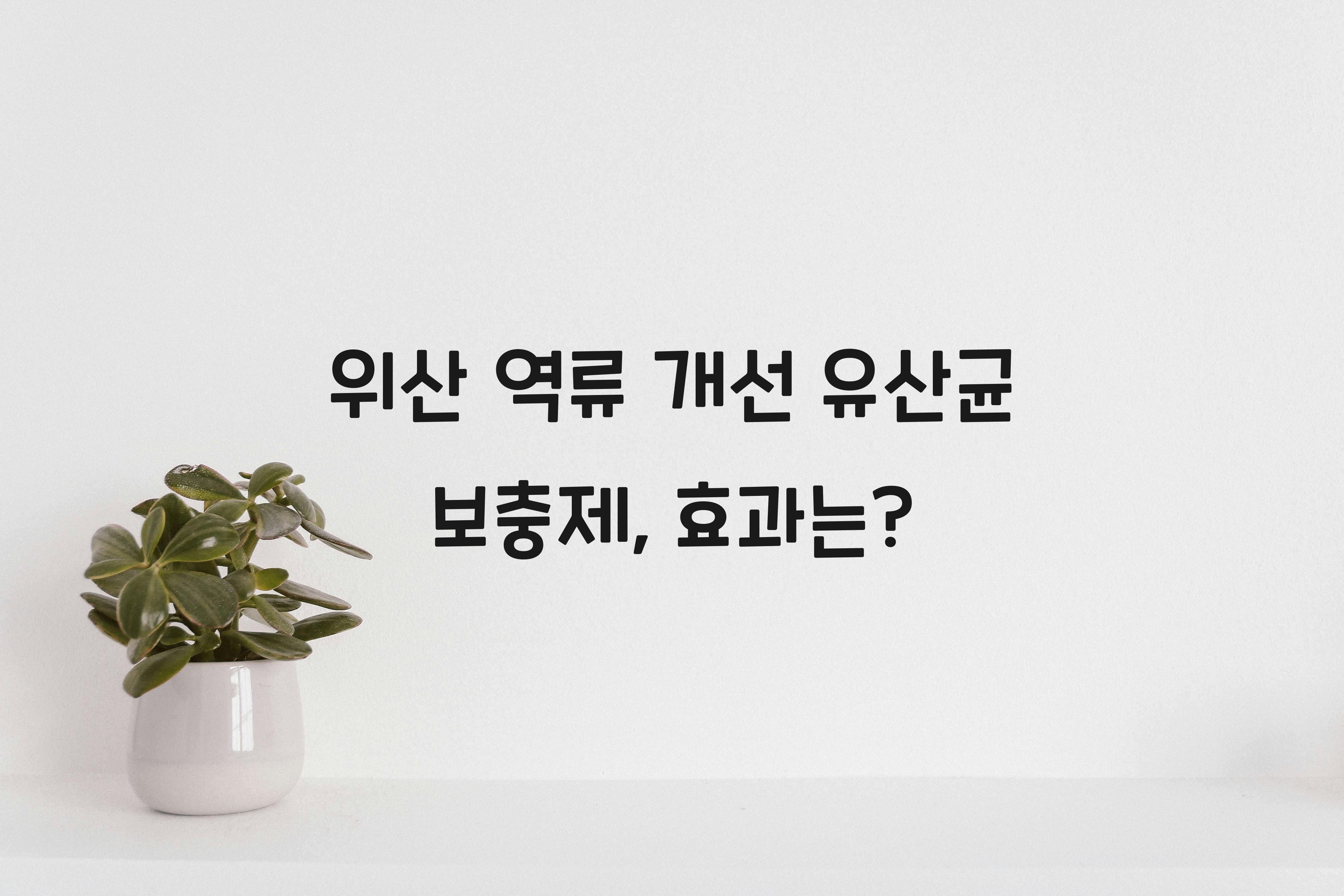 위산 역류 개선 유산균 보충제