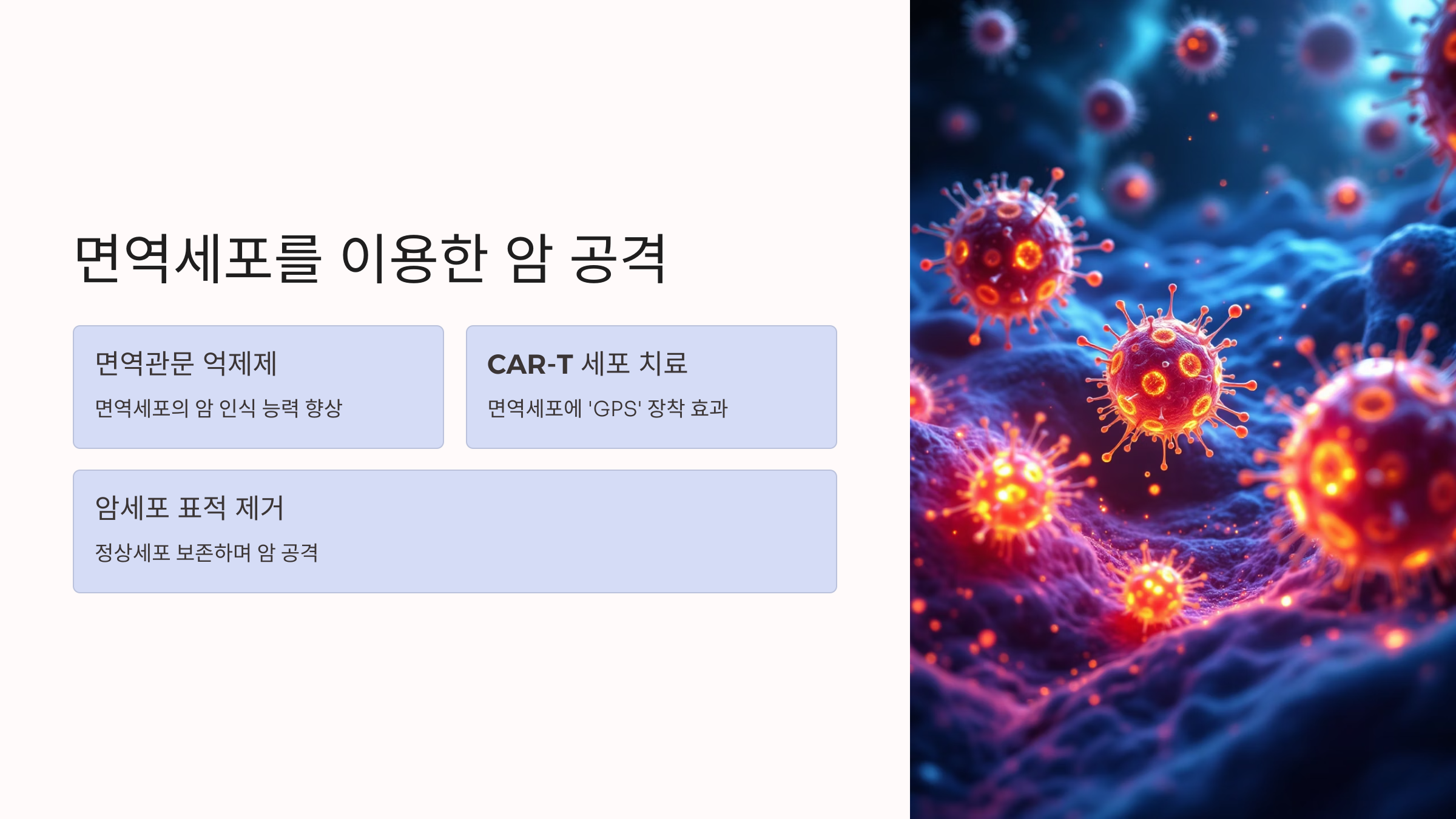 면역세포를 이용한 암 공격