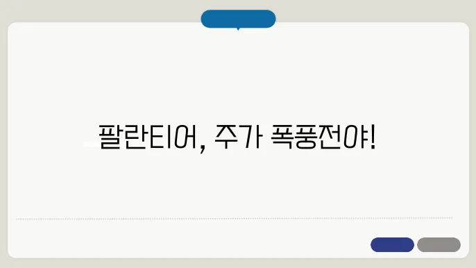 팔란티어 테크놀로지 주식 전망