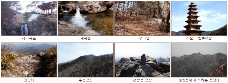 볼거리