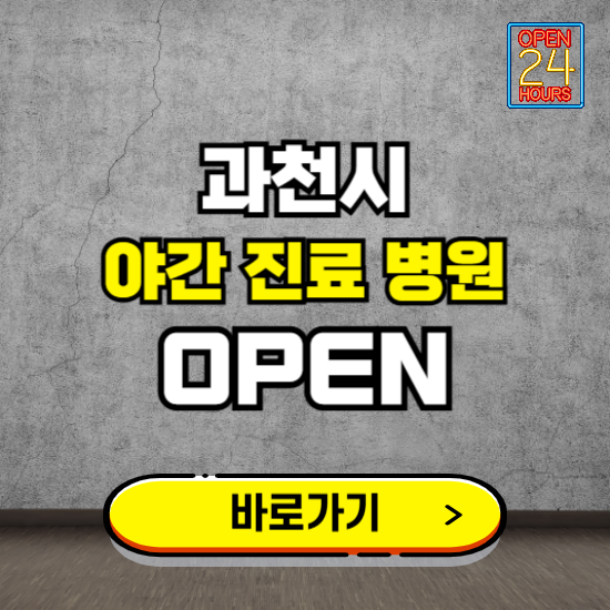 과천시 야간진료 병원 찾기 ❘ 24시 심야 밤 늦게 여는 병원