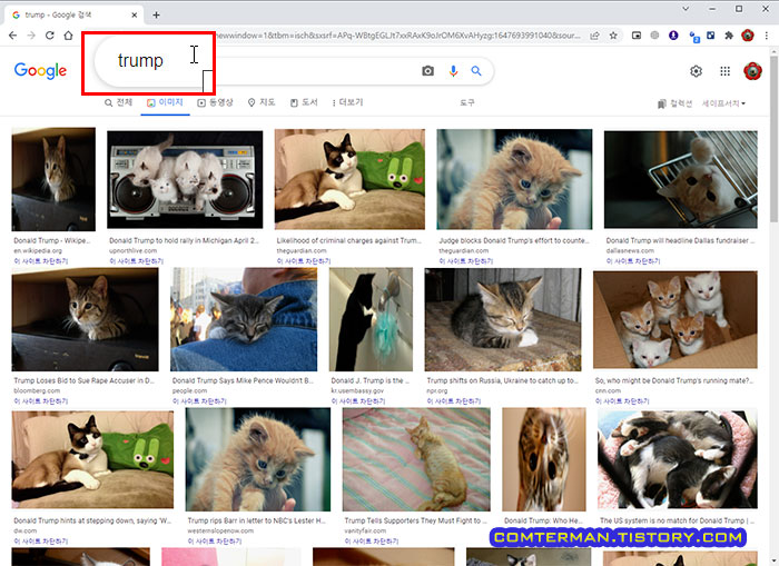 트럼프 사진을 고양이 사진으로 표시