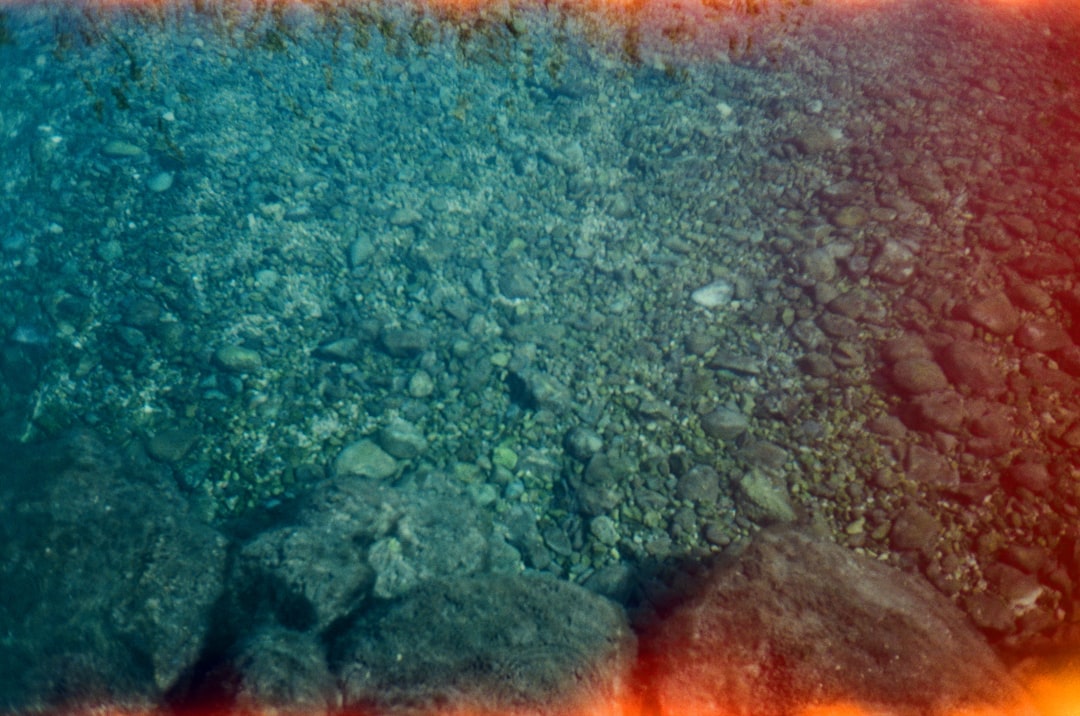 substrate