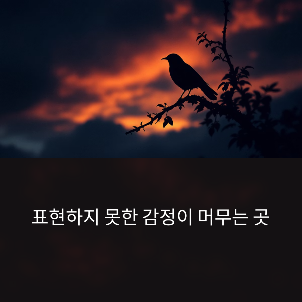 표현하지 못한 감정이 머무는 곳