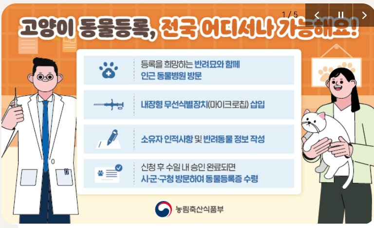 반려견 등록