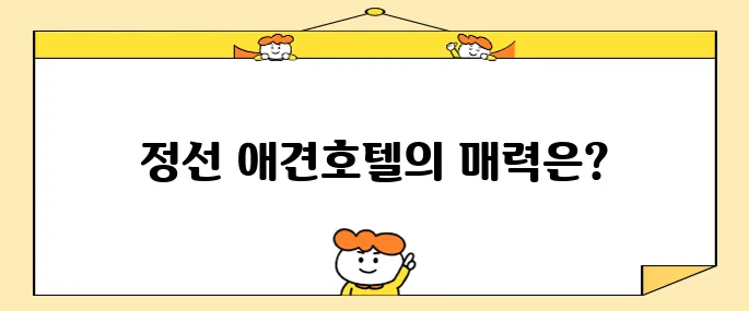 정선 여행에서 가성비 좋은 애견동반 호텔 메이힐스를 추천합니다.