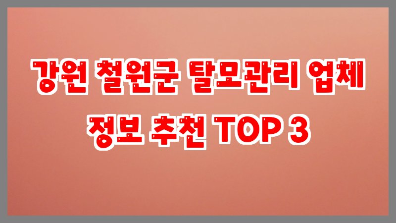 강원 철원군 탈모관리