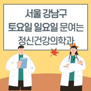 서울 강남구 토요일 일요일 정신건강의학과 진료 병원 리스트