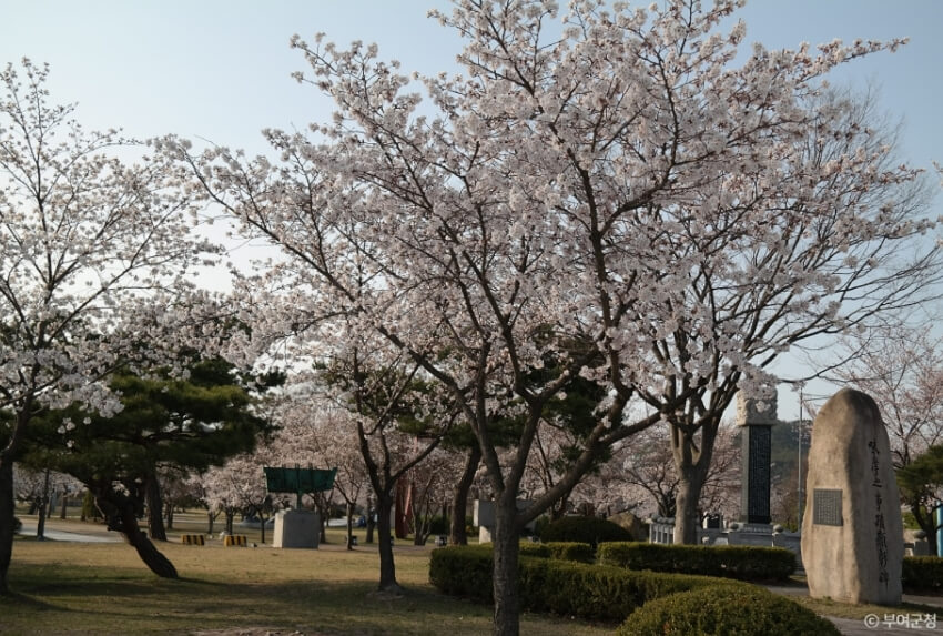 부여 가볼만한곳 베스트 10