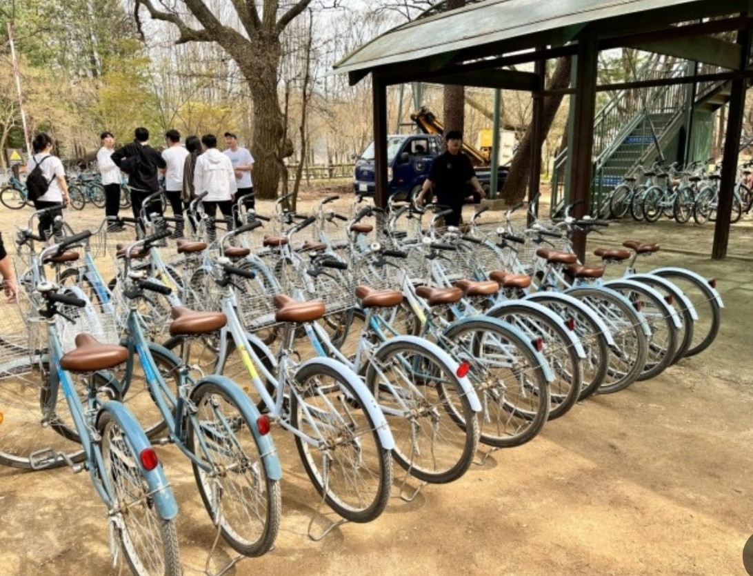 남이섬 자전거 대여 이미지