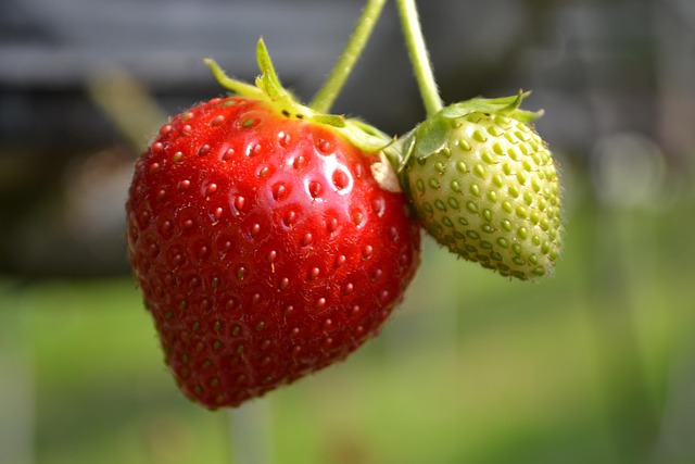 허리통증 원인 2