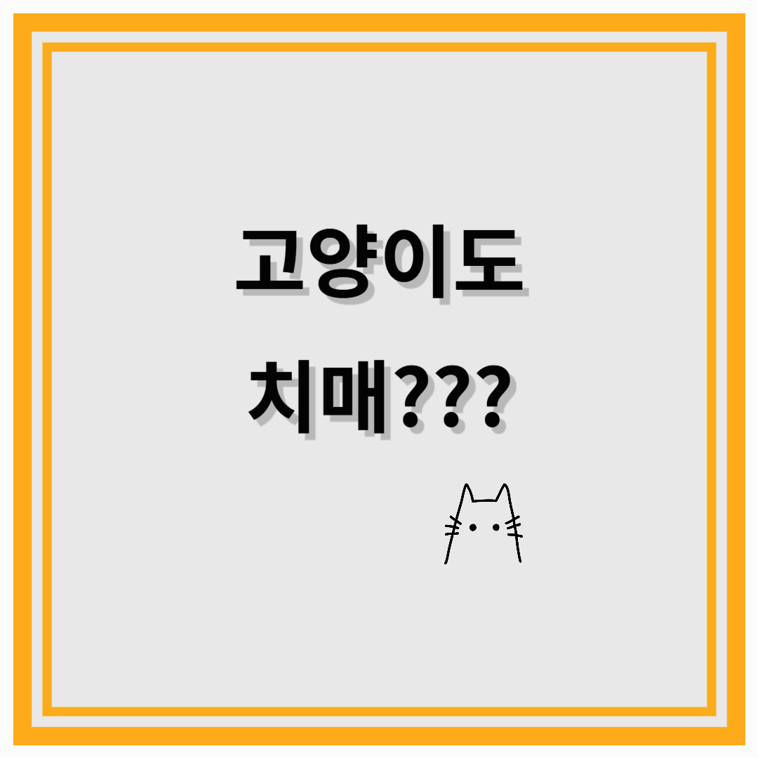 고양이도 치매에 걸릴까? 반려동물 인지 기능 저하 예방 가이드