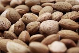 아몬드 보관방법