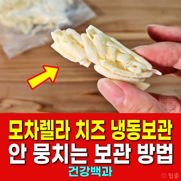 모차렐라 치즈 냉동보관 안 뭉치게 보관