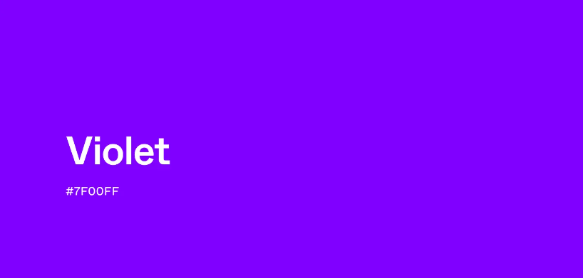 보라색(Purple) 계열의 색상 종류처럼 색과 아이템을 연결해 전체 착장을 정돈한 코디입니다.