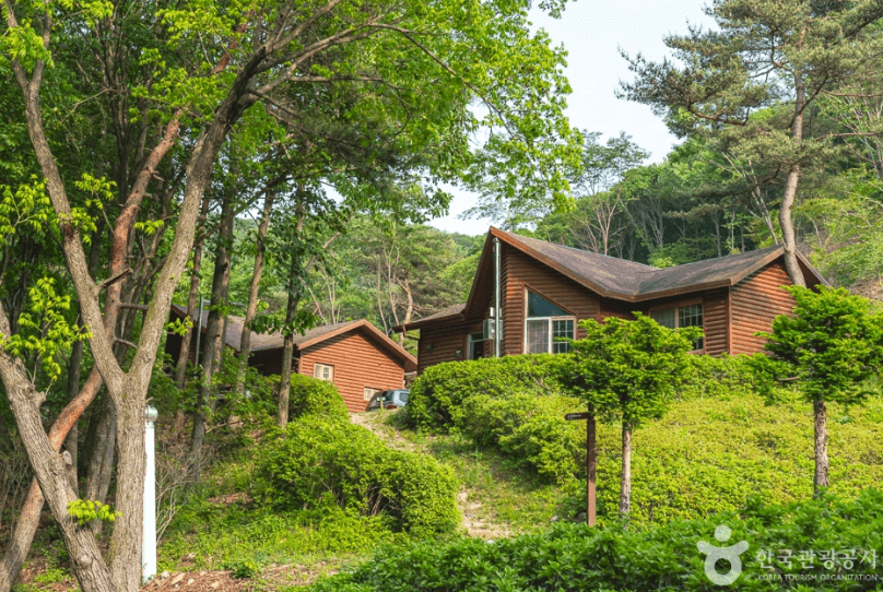 국립 용현자연휴양림