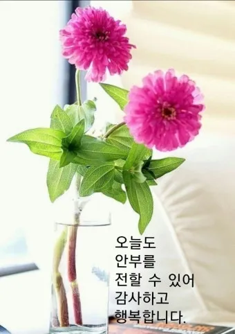 아침인사 이쁜글 다운로드_15