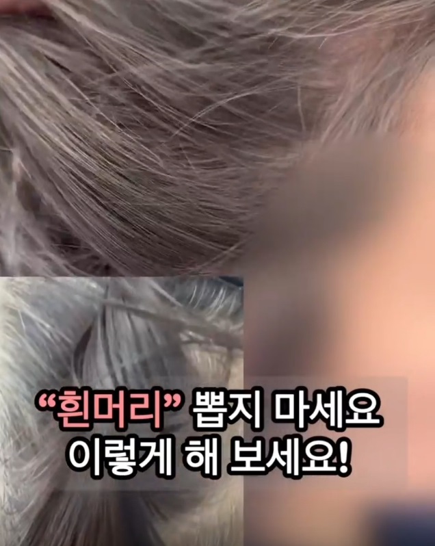 새치염색의달인-이진용-하프발레아쥬