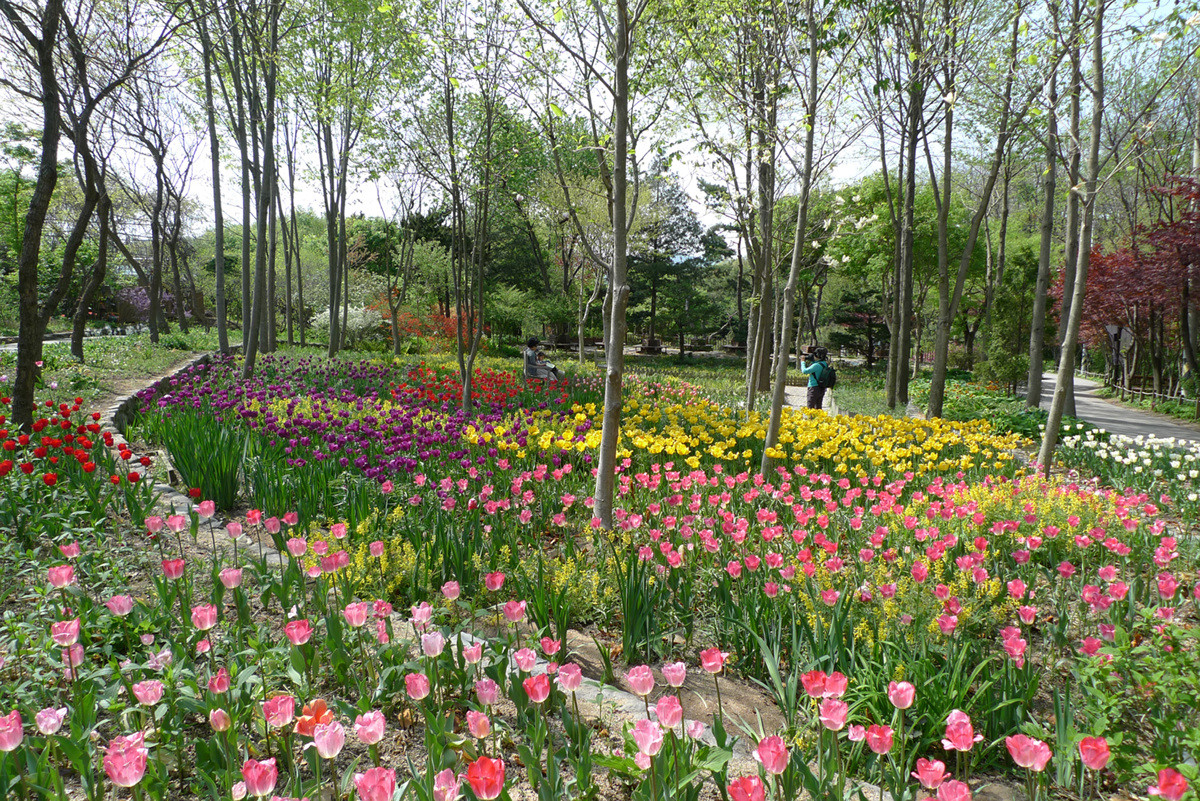 용인 한택식물원