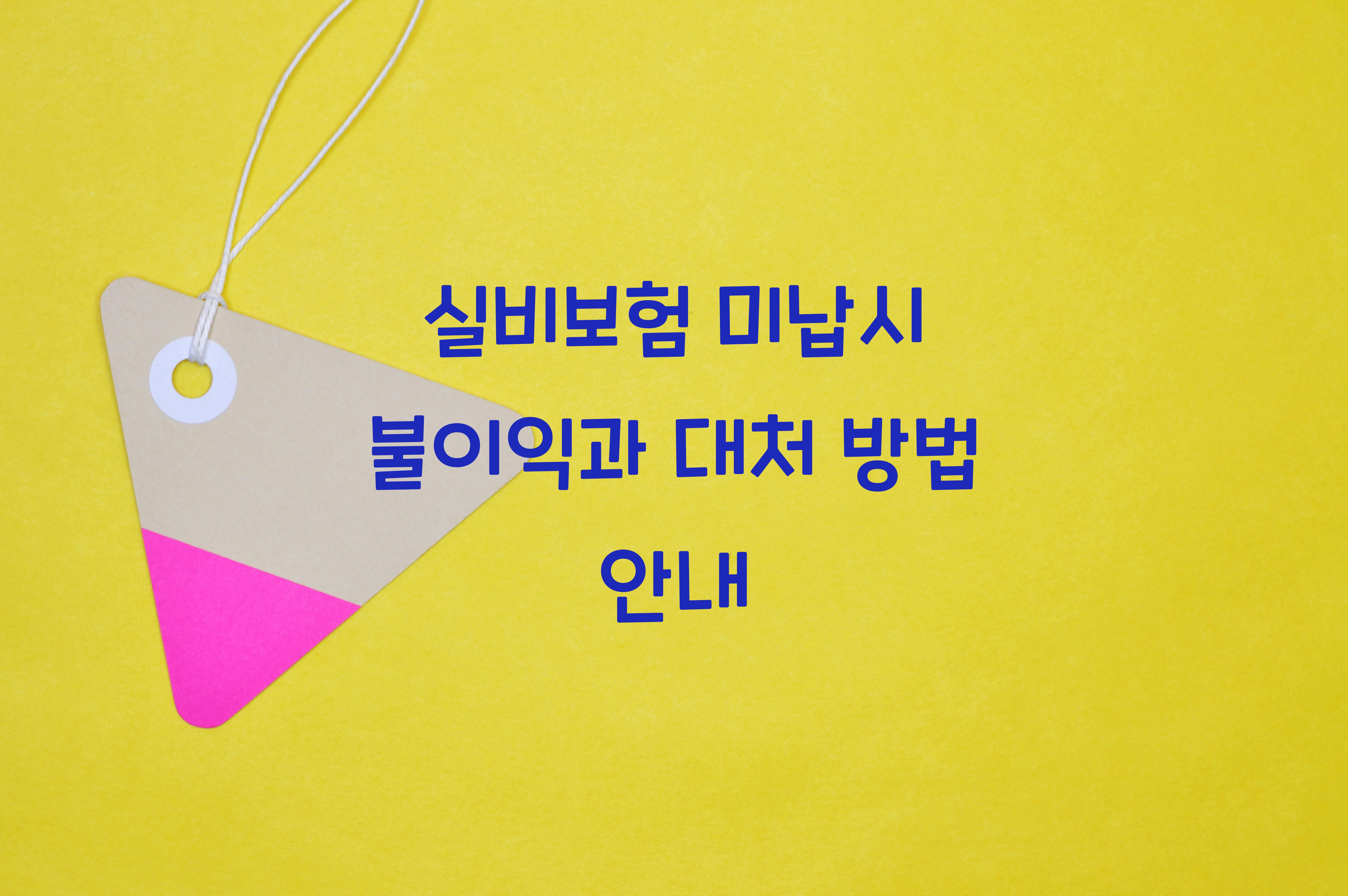 실비보험 미납시 불이익