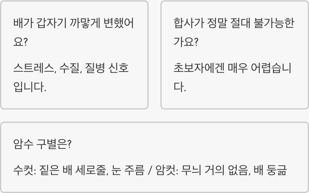 초보자가 인디언복어 키울 때 가장 많이 하는 실수 5가지