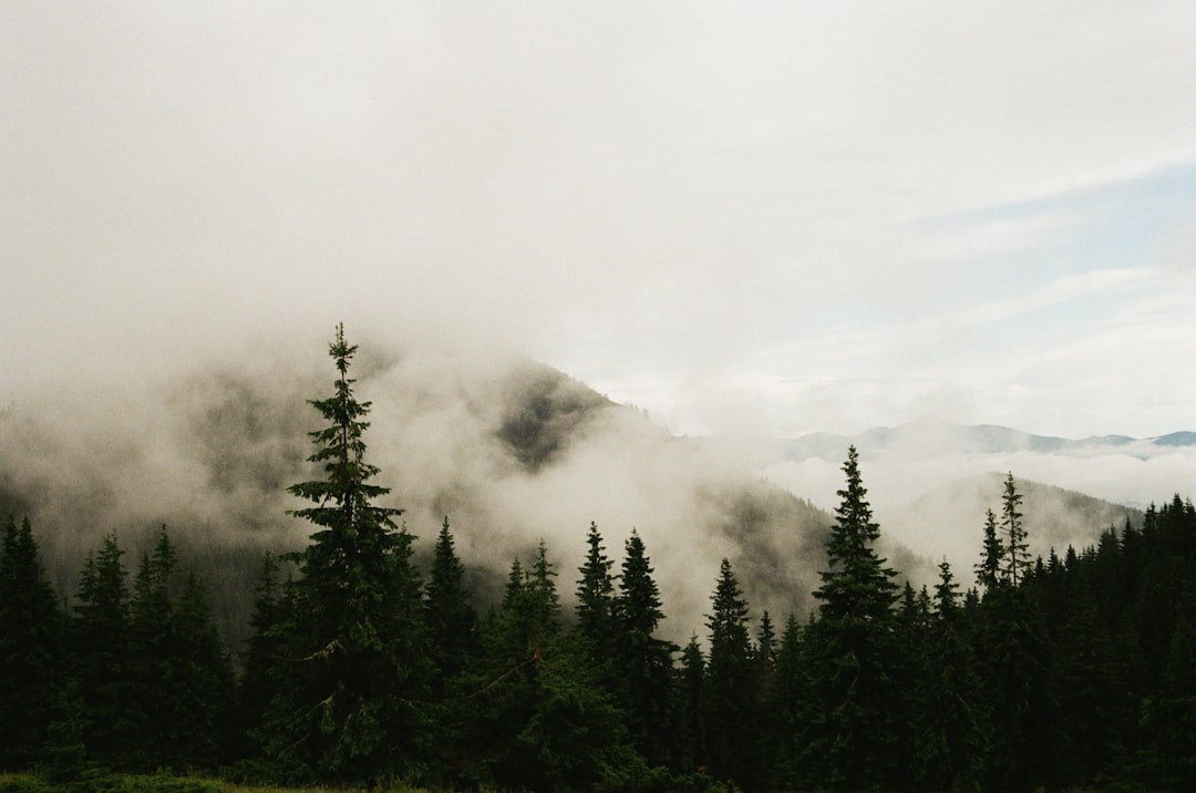 Mountains