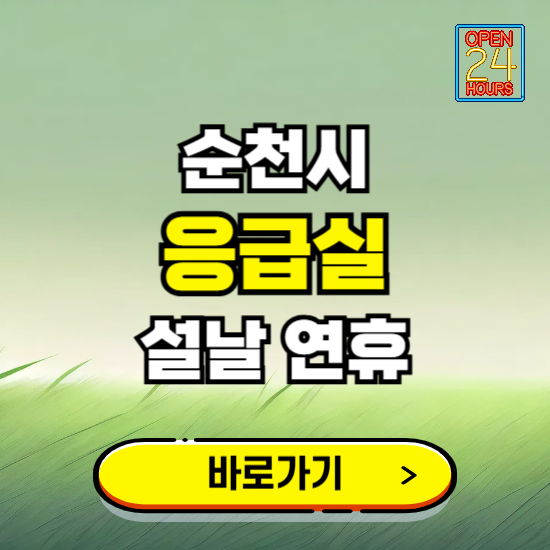 순천시 설날 연휴 비상진료 응급실 병원 찾기 ❘ 내근처 24시 야간 심야 휴일 가능한 곳