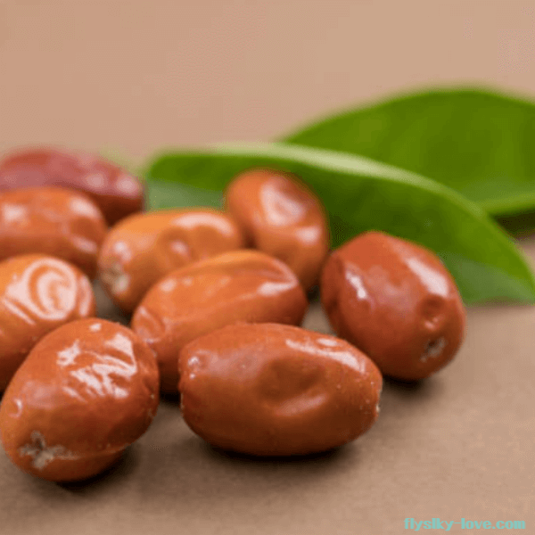 러시아올리브 열매