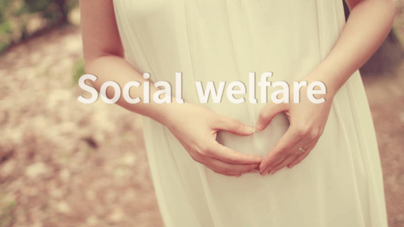 임신과 출산 사회복지정책