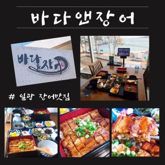 부산 바다앤장어