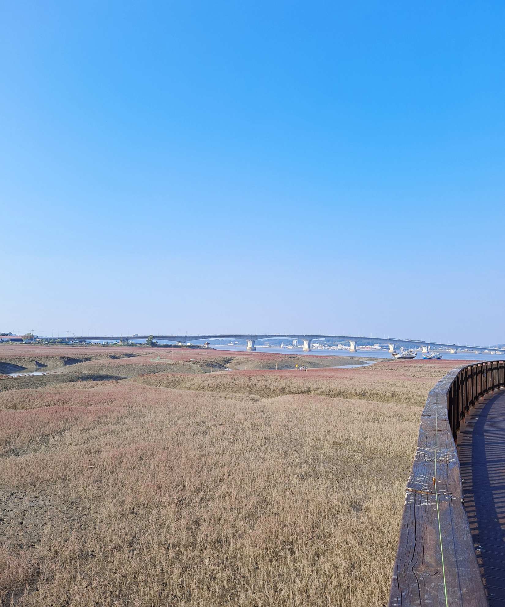 황산에서 바라본 초지대교