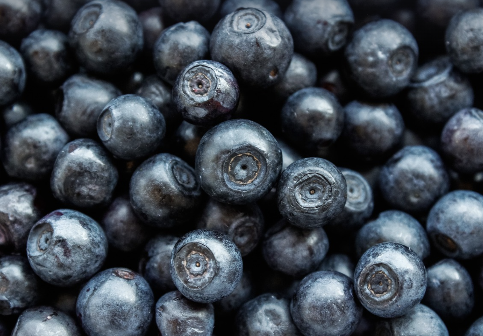 [블루베리] 나이 들수록 필수? 놀라운 블루베리 효능과 부작용 정리