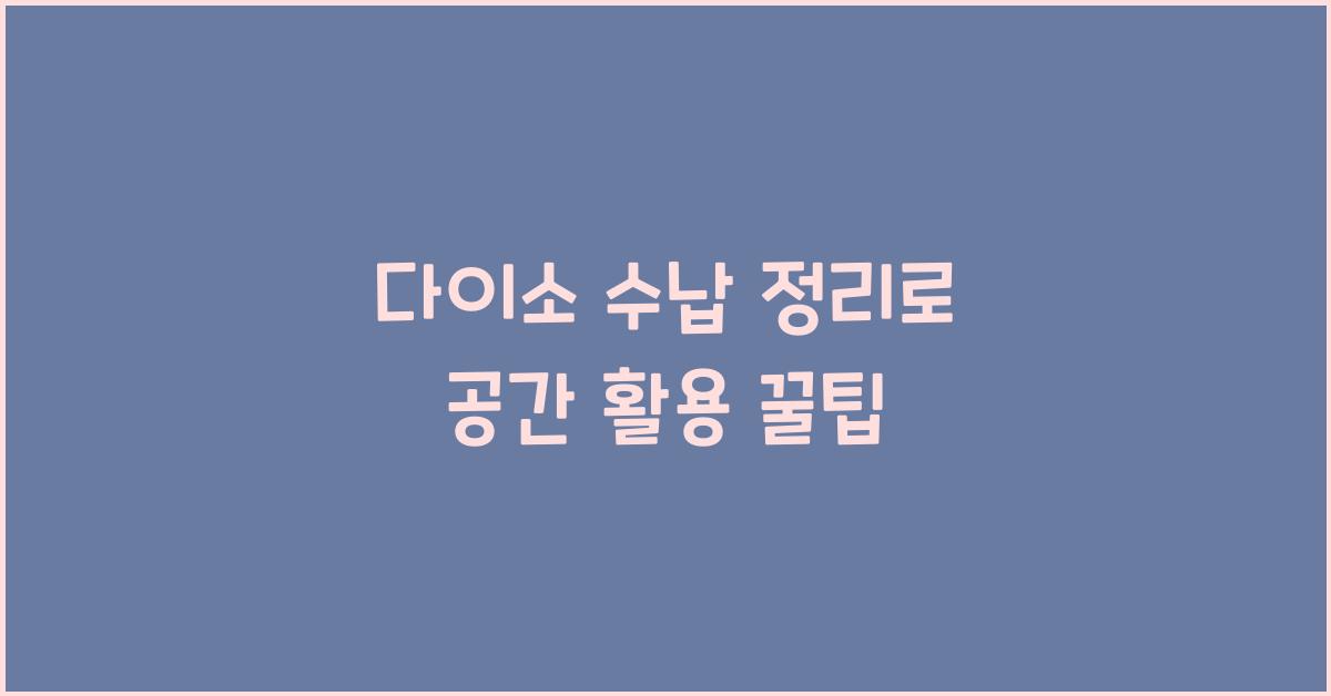 다이소 수납 정리