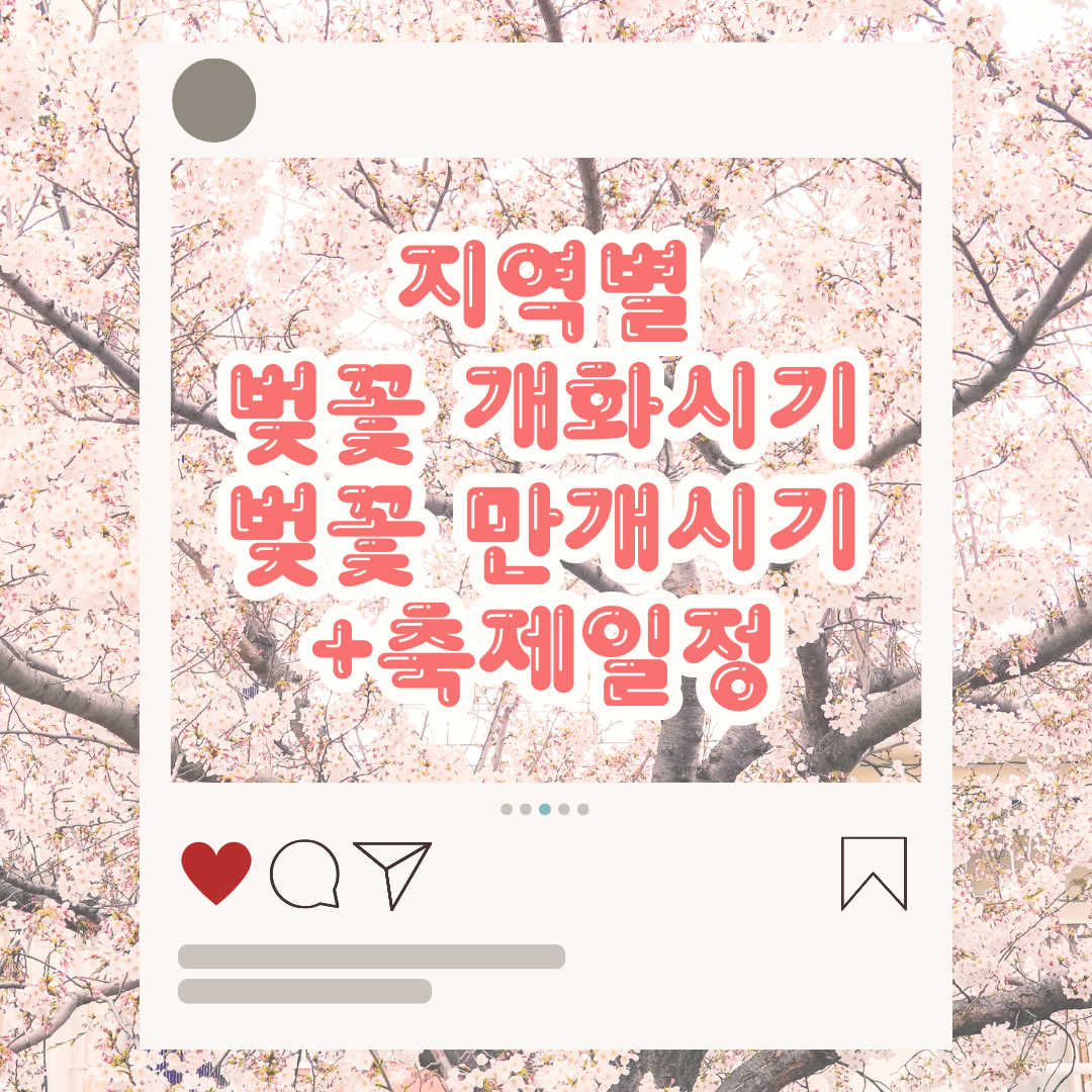 지역별 벚꽃 개화시기 벚꽃 만개시기