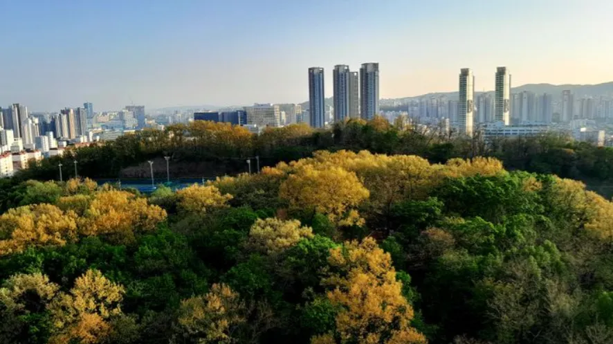 평촌트리지아 줍줍