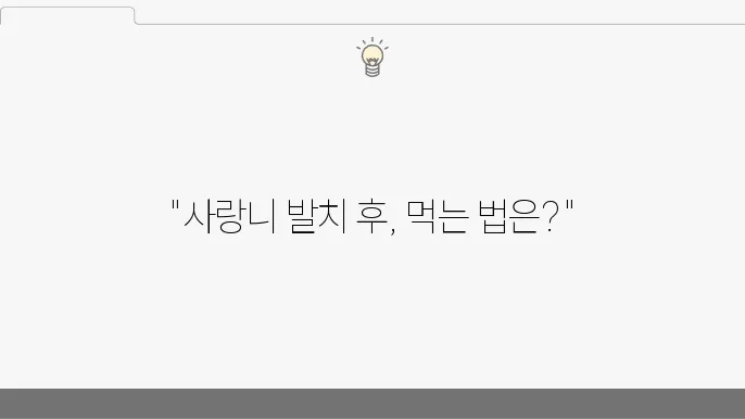 통증 관리 및 회복 방법