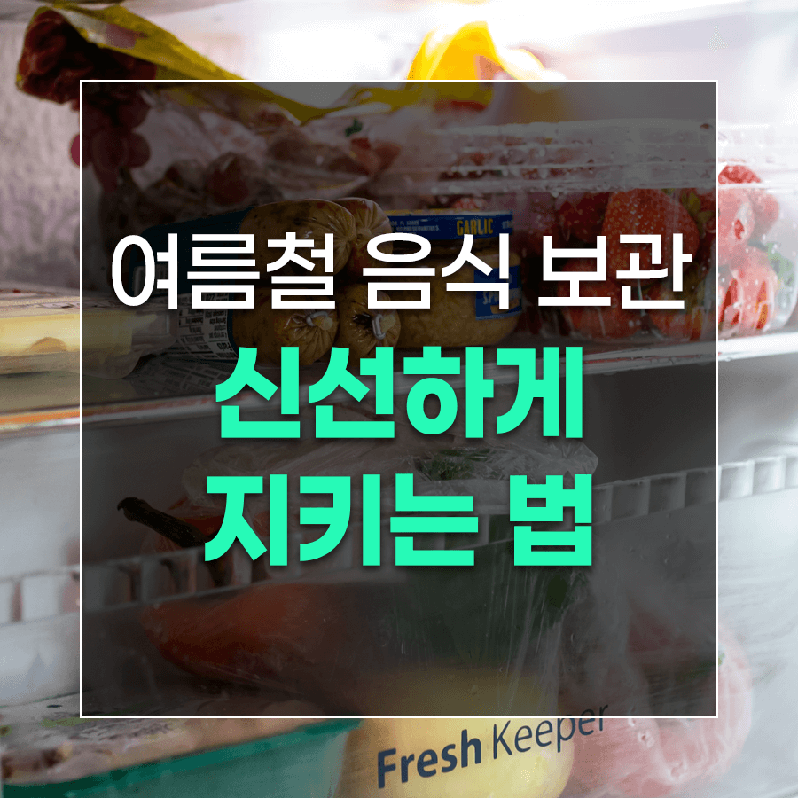 여름철 음식 보관 신선하게 지키는 법