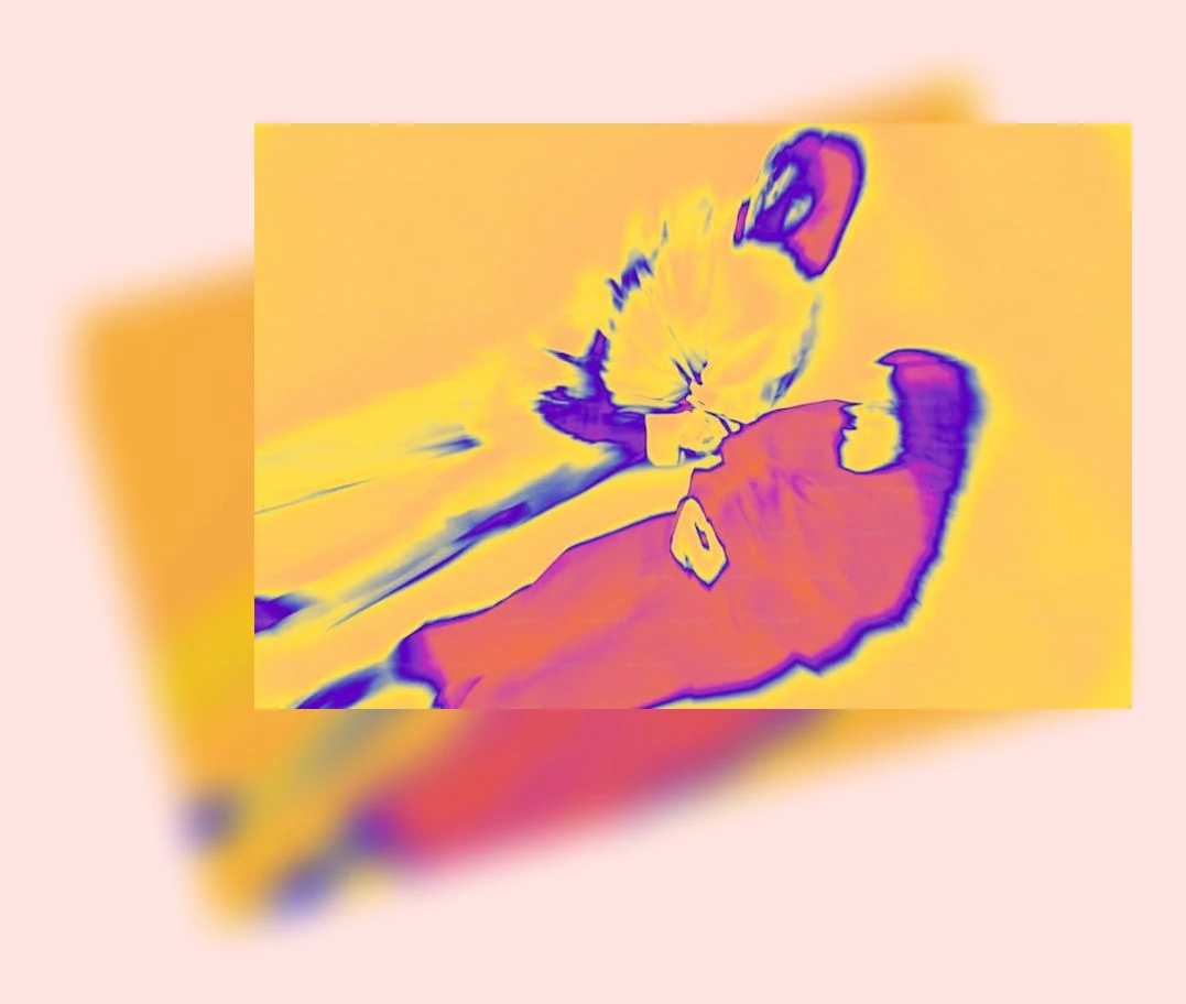 고양이 중성화 수술_3_subsection