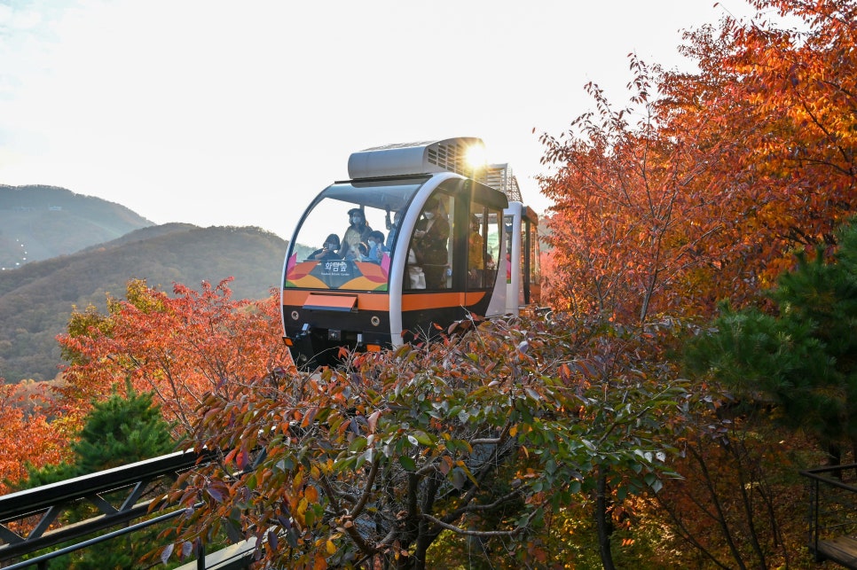 화담숲-예약-방법-2025년-최신-입장료-완벽-가이드