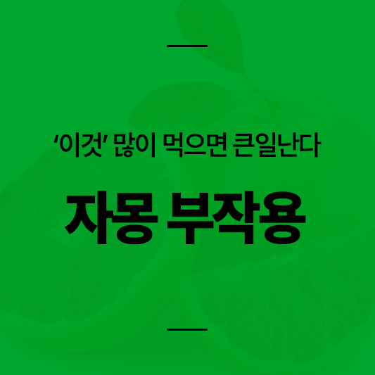 자몽 부작용